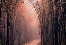 凯尔特人天价易主！新老板是死忠粉，总经理只盼保留夺冠班底.