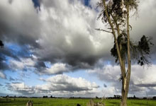 [CBA]常规赛12月1日：深圳VS辽宁 赵继伟集锦.