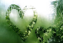 PG电子游戏：[德甲]法兰克福角球开前点 克里斯滕森头球破门.